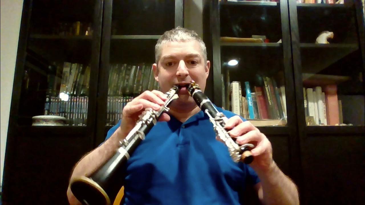Wild Sounds and the Double Extended Techniques for