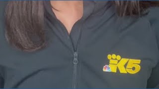 Light Rail Attempted Murder Investigation