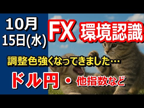 【TAKA FX】調整色強くなってきた…　ドル円他各通貨の環境認識解説。各種指数、GOLDなど　10月15日(水)