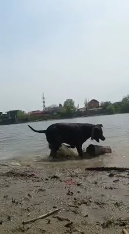 youtube.com