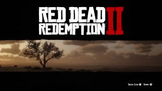 Red Dead redemption 2 OBS stream test