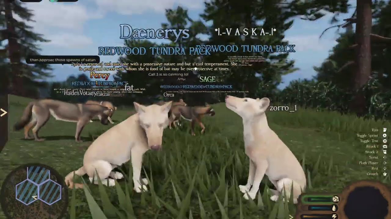 Wolves thrive in the Redwood trees | Dire Wolves | Part 3 | Ecos: La Brea