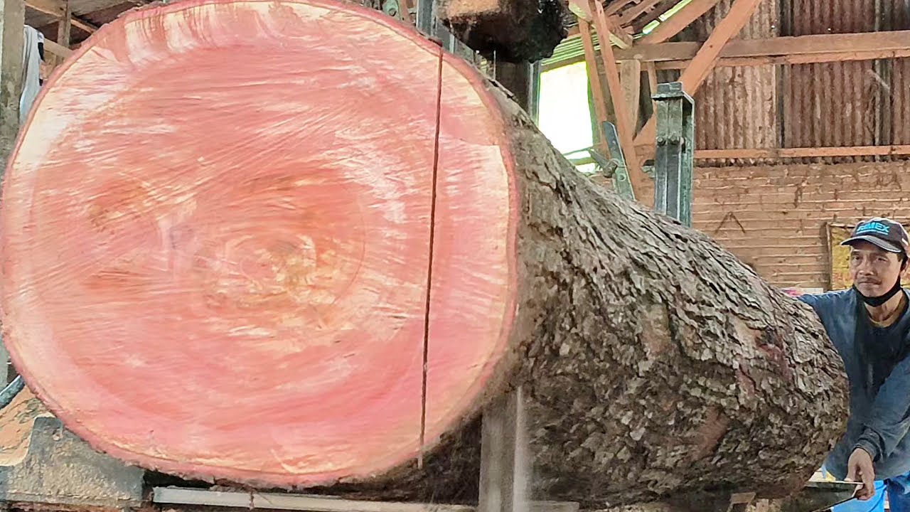 Розовая древесина!! Редко можно найти такую ​​прекрасную древесину на лесопилке.