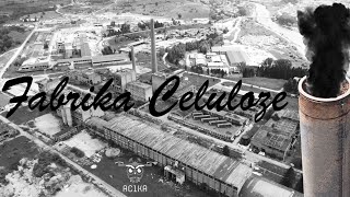 Fabrika Celuloze - Berane 2020