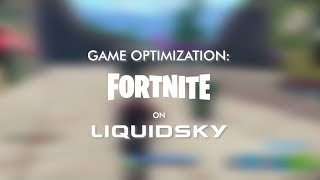 Game Optimization: Fortnite on LiquidSky