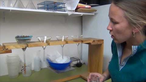 Soil Fauna: Extraction and Identification