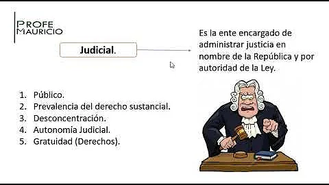 ¿Cuál es la función de la Rama Judicial Wikipedia?