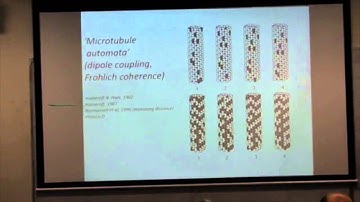 Stuart Hameroff lectures on quantum consciousness