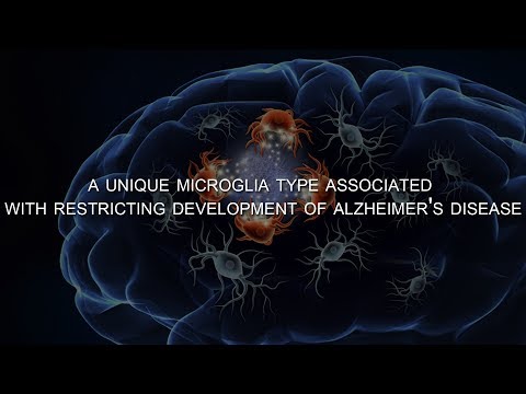 Video: Het Genetische Risico Voor De Ziekte Van Alzheimer Is Geconcentreerd In Specifieke Macrofagen En Microgliale Transcriptionele Netwerken