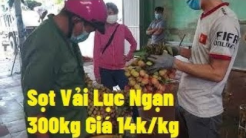 Sọt Vải U Hồng 300kg Giá 14k Tại Phì Điền - Lục Ngạn - BG l Vải Thiều Lục Ngạn l Luc Ngan Litchi
