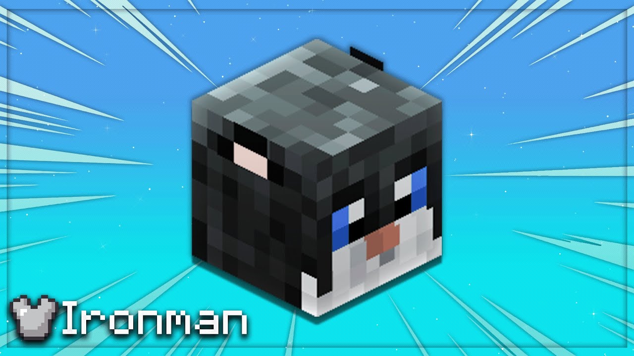 I Obtained a BLACK CAT pet in Hypixel Skyblock Ironman #21