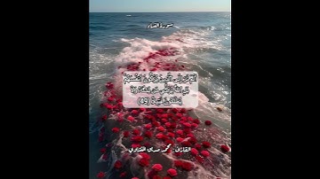 سورة النساء ٤٩ #قرآن #قرآن_كريم #قران #قران_كريم #قرأن #quran