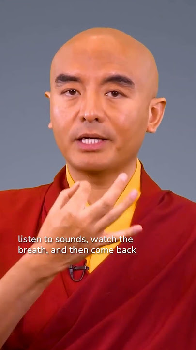How to befriend panic -  with Mingyur Rinpoche  #worldmentalhealthday
