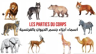 أسماء أجزاء جسم الحيوانات بالفرنسية les parties du corps