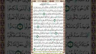 سورة النساء ص77/المنشاوي