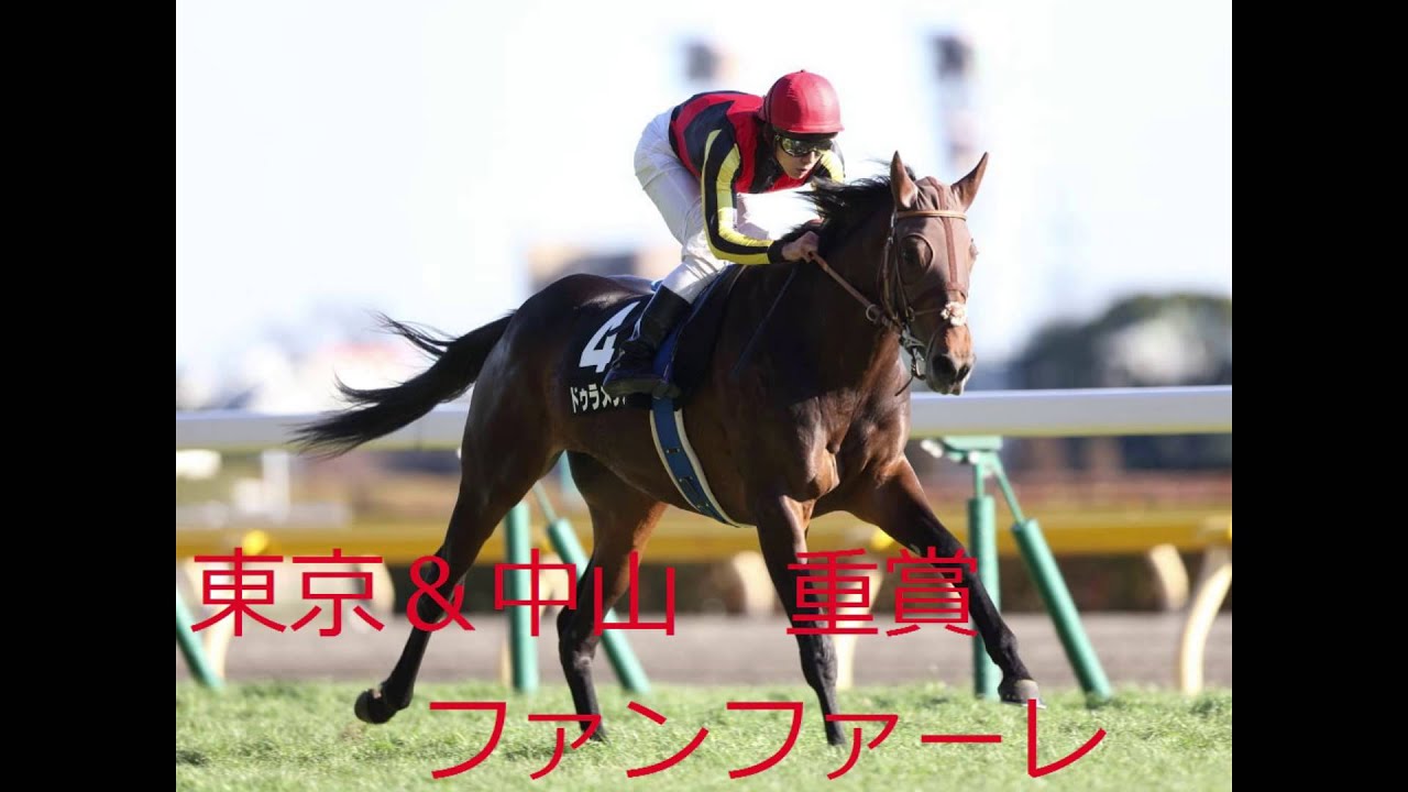 ファンファーレ集 中央競馬重賞編 Amazon.co.jp: ファンファーレ集 中央競馬重賞編 : Japanese Books