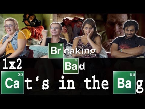 Breaking Bad - 1x2 Cat's in the Bag...- Group Reaction