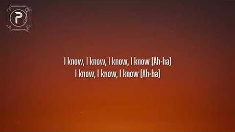 Shawn medes I know what u did last summer lyrics