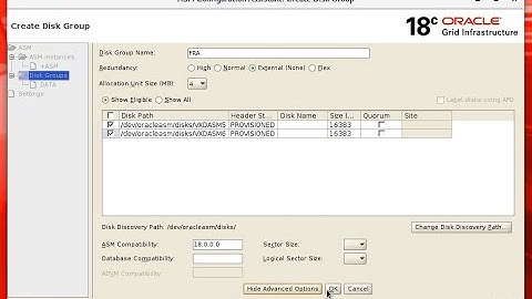 Episode #7 - Provision disks, Parition, createdisks migrate, add, and create DG with asmca