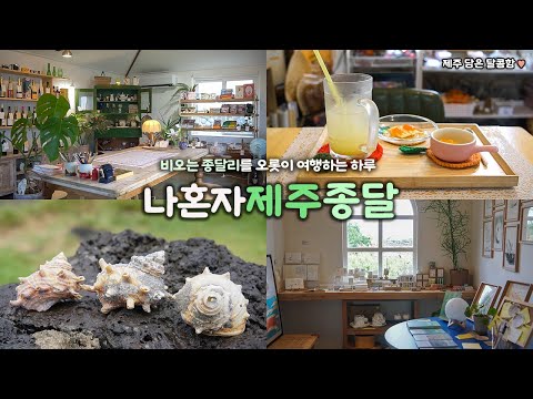 나혼자 제주 종달리 여행|🌧️비오는 종달리 산책 |보물창고 같았던 소품숍, 무료 귤디저트 풀세트?|달리센트, 잼있는집, 근자C가게|제주 혼여행 브이로그|제주여행 하는사람er