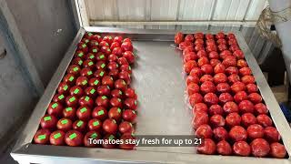 Uganda (Makerere University) - Biocoat Solutions, Food Systems Innovation Challenge 2026