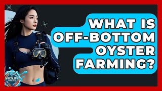 What Is Off-bottom Oyster Farming? - The Marine Life Explorer
