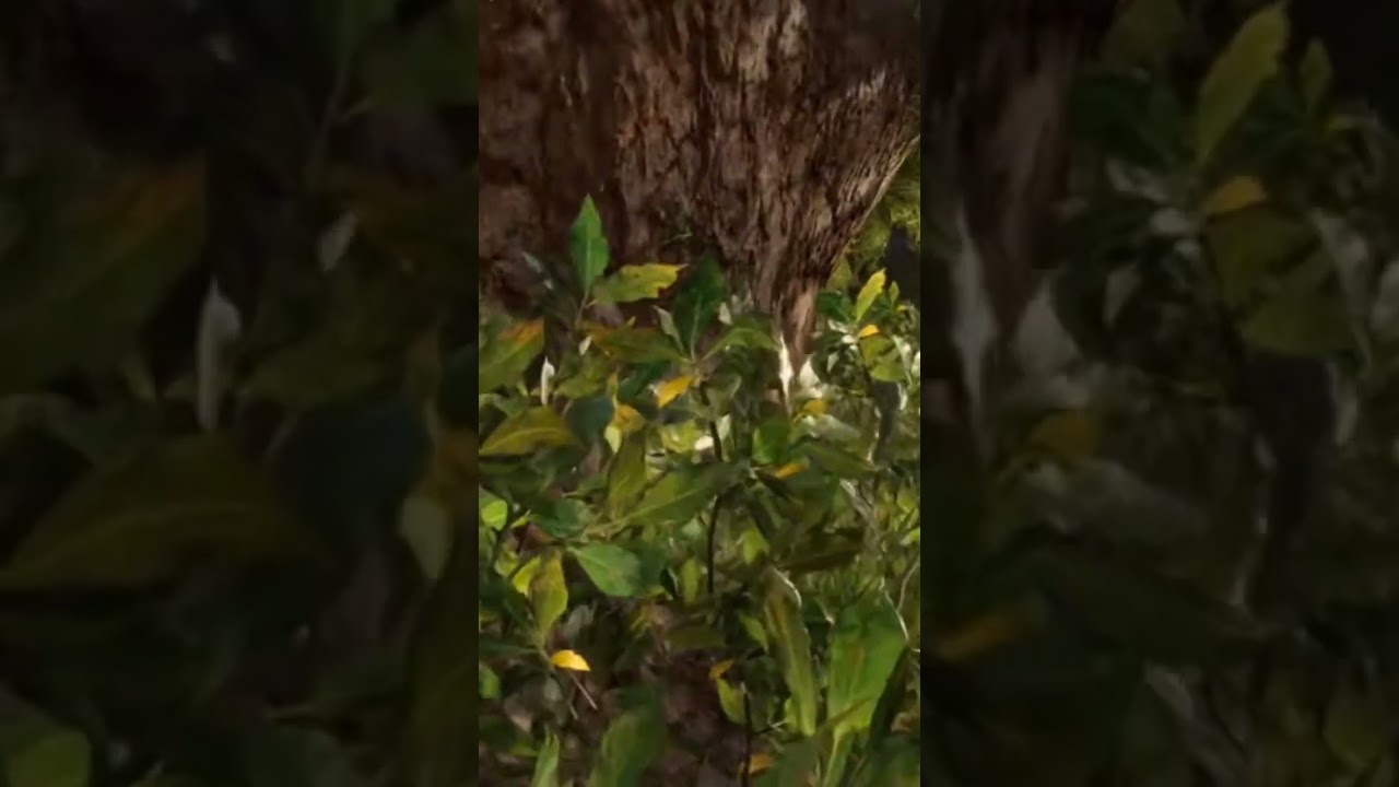 far cry gameplay chapter 2 