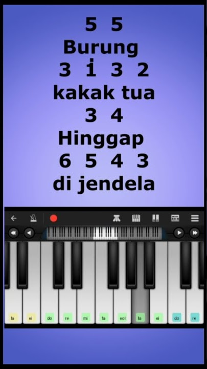 Burung kakak tua piano melody
