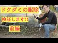 [ガーデニング]　ドクダミ駆除前編「キャリア28年のプロガーデナーが検証するドクダミの駆除方法」