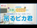 花粉対策にもおすすめ！レースカーテンで抗菌・消臭！汚れ防止！「吊るピカ君」【カーテンくれない】／Lace curtain with antibacterial effect