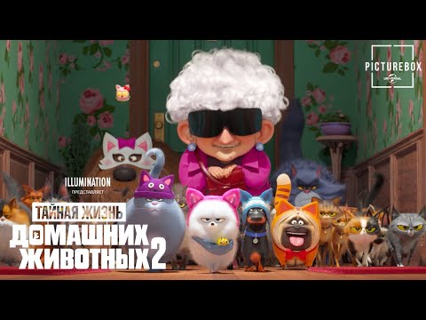 Кадр из фильма «Тайная жизнь домашних животных 2»