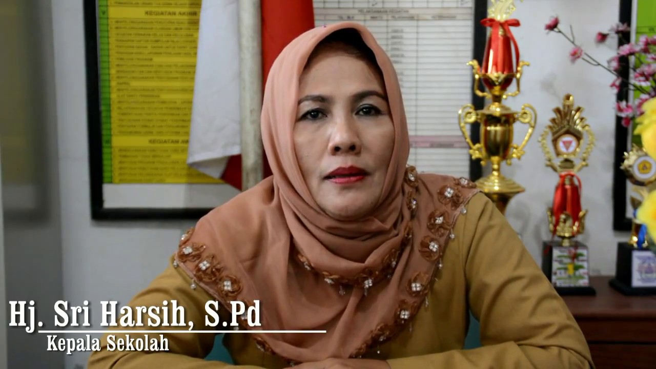 SELAYANG PANDANG SD NEGERI 14 LAHAT