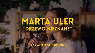 Marta Uler - Drzewo Nieznane Mirrors Sessions
