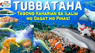 Magagandang isda sa TUBBATAHA REEF | Best Diving Spot para FISH LOVERS