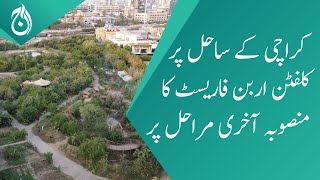 Visit the Clifton Urban Forest in Karachi