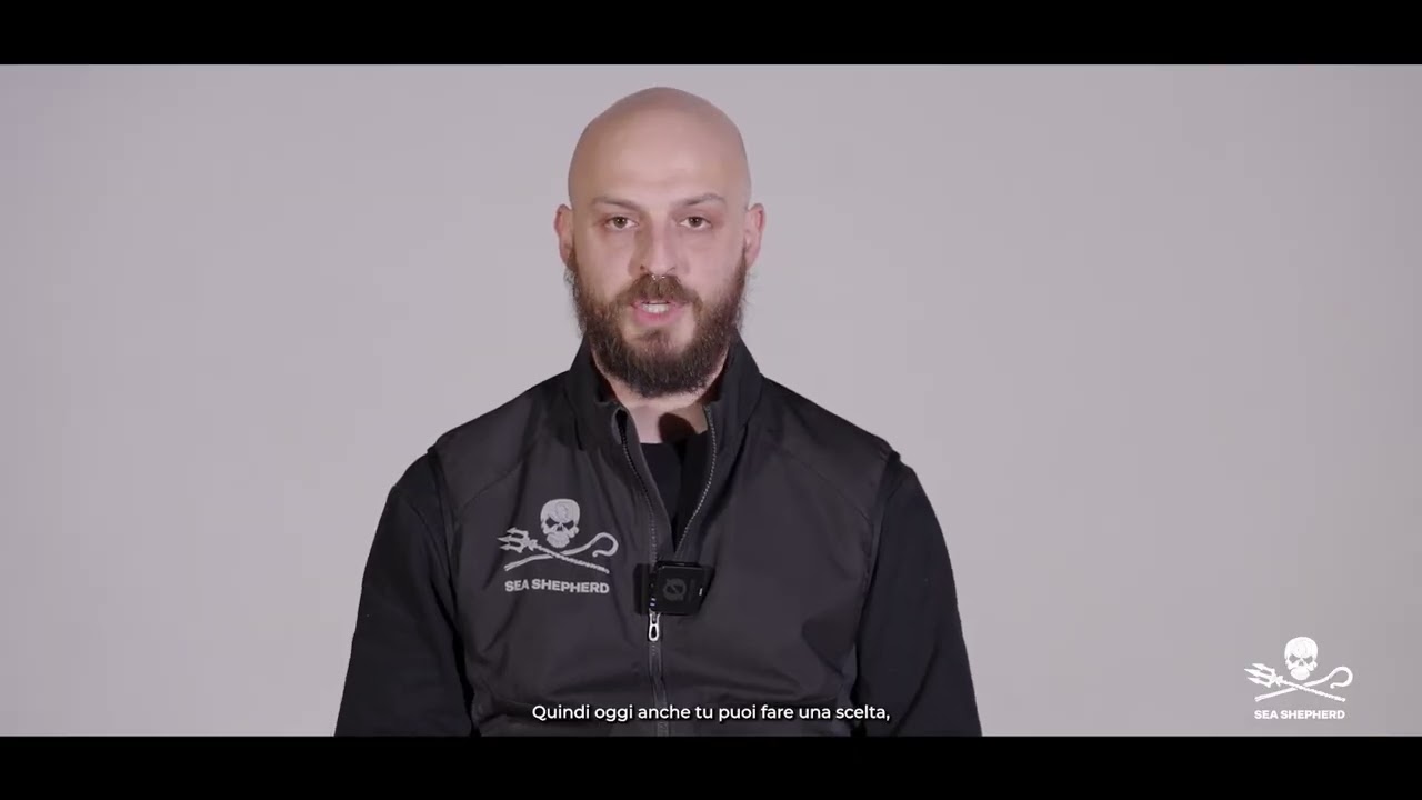 Stefano Quarta - Difendere il mare oggi