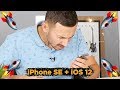 iPhone SE стал РАКЕТОЙ на iOS 12