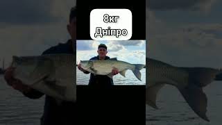 А який у тебе рекорд? #рибалка #рыбалка #fishing