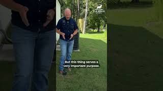 Sewer Cleanout Explained: What It Does & Why It Matters
