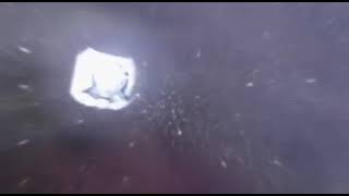 Bungie (Closing, 2001)