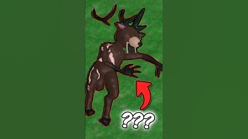 Who ATTACKED the Deer in the NEW 99 Nights in the Forest Update! 🦌