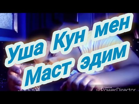 УЗБЕК ТУЙ БОП КУШИК УША КУН МЕН МАСТ ЭДИМ 2022