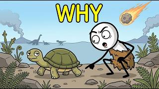 Why Do Turtles Still Move So Slowly If They Outlived the Dinosaurs