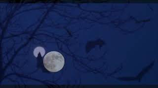 Video thumbnail of "'When Birds Fly in Moonlight' | Sonata | جب پرندے چاندنی میں اڑتے ہیں | سوناٹا"