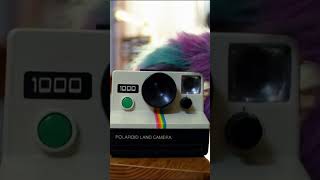 Contando Los Días Volver A Mi