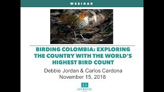 Birding Colombia: Exploring the country with the world's highest bird count