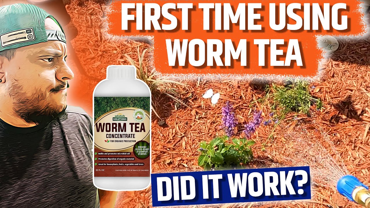 I have never used an Organic Fertilizer Such as Worm Tea Before did it