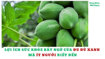 Lợi ích sức khỏe bất ngờ của đu đủ xanh mà ít người biết đến