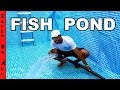 TIME for FISH in the POOL POND!