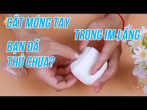 Video: Ai sẽ làm chương trình giữa hiệp?